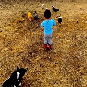 Extra shipping‎ label.